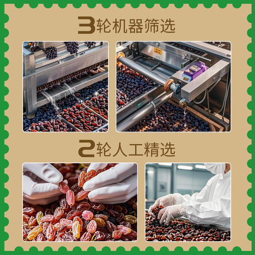 新疆吐鲁番大葡萄干（玫瑰香）288g/包 疆果果 大坚果 商品图2
