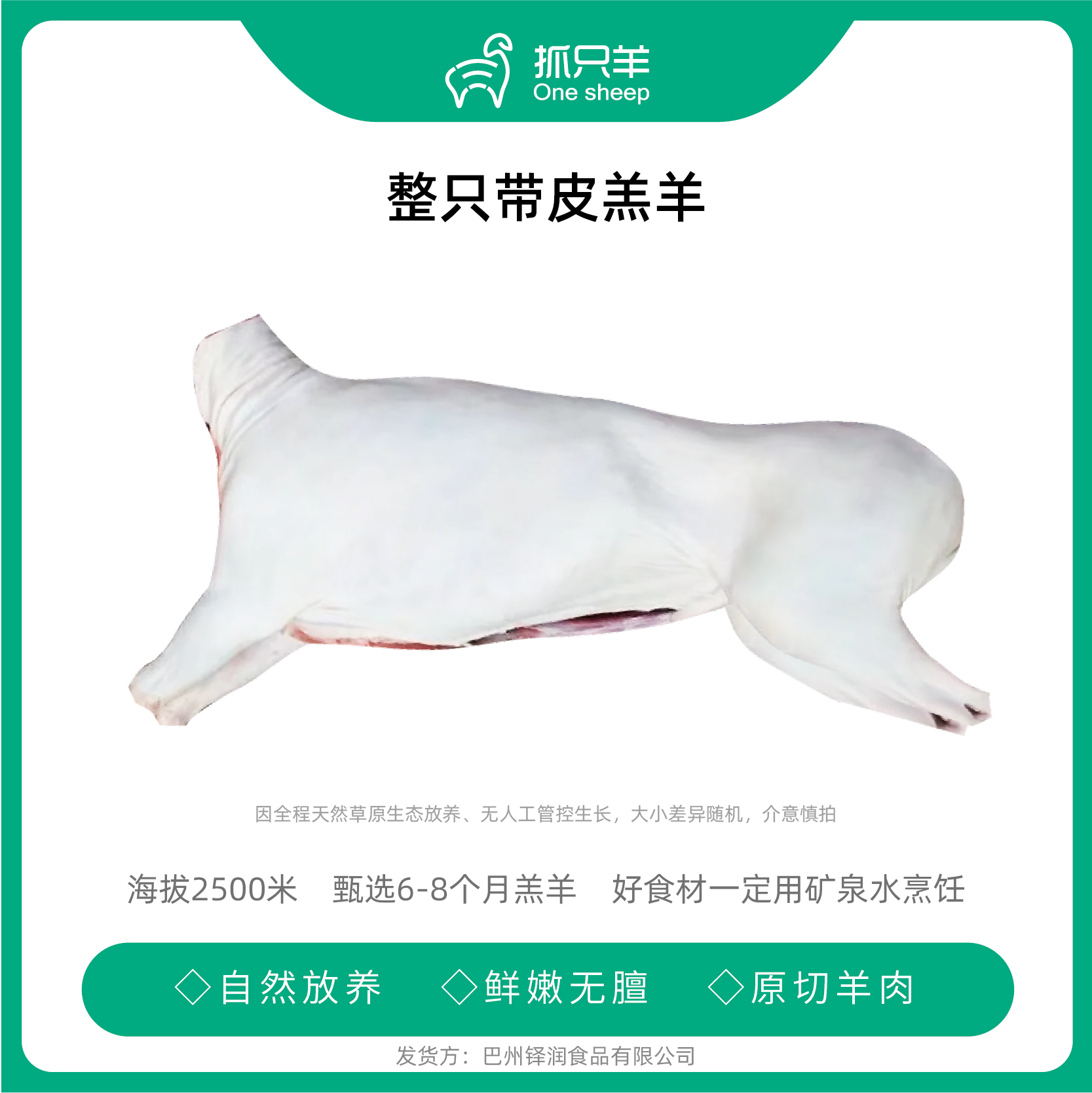 新疆巴音布鲁克羊，带皮整羊