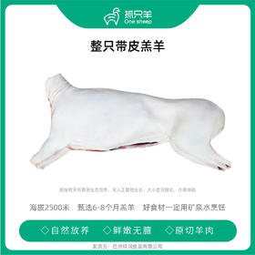 新疆巴音布鲁克羊，带皮整羊
