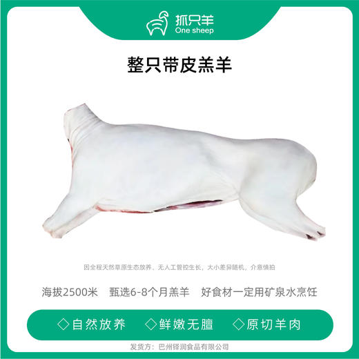 新疆巴音布鲁克羊，带皮整羊 商品图0