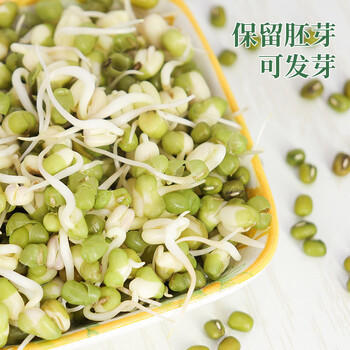 祁连裕农有机绿豆3.6斤真空装可发豆芽打豆浆绿豆汤绿豆粥豆沙原料 /粮油调味 /杂粮 /杂豆类 商品图2