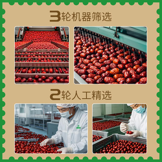 新疆和田大玉枣 316g/包 疆果果 大坚果 商品图2