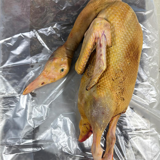 广西北海海鸭散养土鸭子整只现宰 商品图1