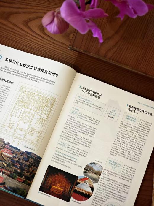 坐在故宫屋檐下：图解紫禁城五十问 商品图4