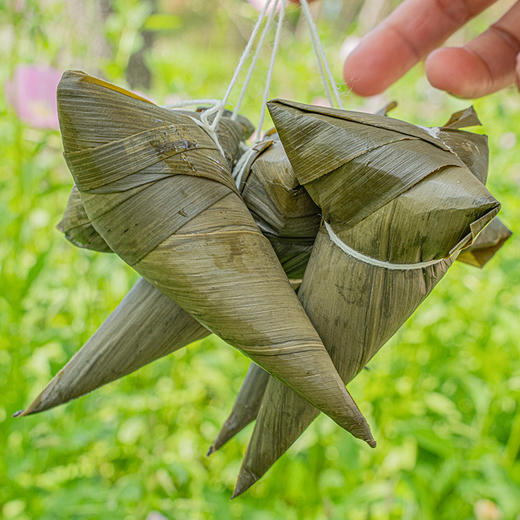 【清粽精选】湖北洪湖清水粽 我“粽”意你 原汁原味 只有简单的粽叶和糯米 味简不杂 沾一点点白糖 入口是夏的清凉 商品图6