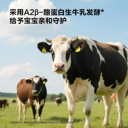 奶酪博士 A2婴标奶酪酸奶 60g/袋（原味/草莓/西梅） 商品图3