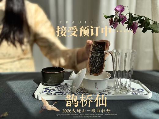 【2026春茶预订】2026一级白牡丹《鹊桥仙》，连续8年春白茶销冠，鲜、爽、清、润，香透了！ 商品图0