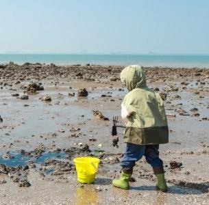 五一丨【5天4晚】5天4晚｜崇左+钦州亲子游｜横跨中越边境，探秘限定雨林，寻珍稀叶猴，追中华白海豚！ 商品图3