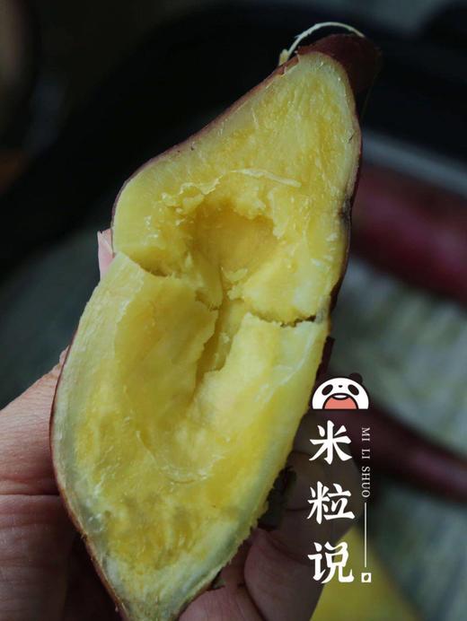 【桥头地瓜/鸣门金时地瓜】地瓜界的实力派，鸣门金时地瓜~桥头地瓜的升级品，口感细腻，无纤维，香甜软糯，板栗香味 CC 商品图6