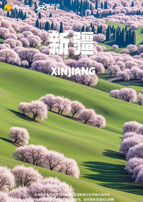 【杏花春意浓】双飞8天