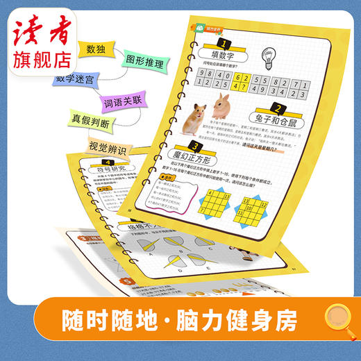 【8-15岁】《天天爱科学》（逻辑与推理）杂志 已更新至2026年三月刊 商品图6