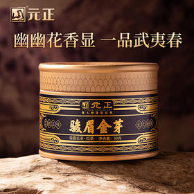 元正 国民好茶骏眉金芽 特级茶叶正宗武夷山红茶自饮口粮茶叶罐装