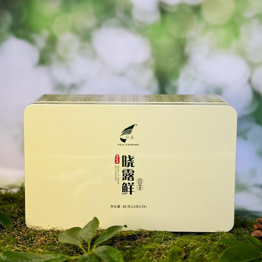 晓露鲜白茶信之春 商品图0