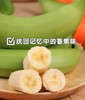 云南威尼斯香蕉，给你软糯香甜，极致的奶油口感，从树上砍下就立马发货，巨甜‼巨软糯‼原生态自然熟，不打药不打保鲜剂 商品缩略图4