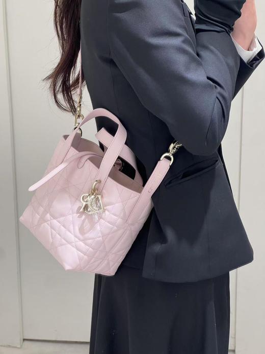 迪奥 25早春新品 土著 Toujours竖版手袋（灰灰） 商品图8