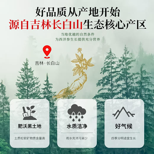 参香活色 西洋参片100g/袋 商品图4