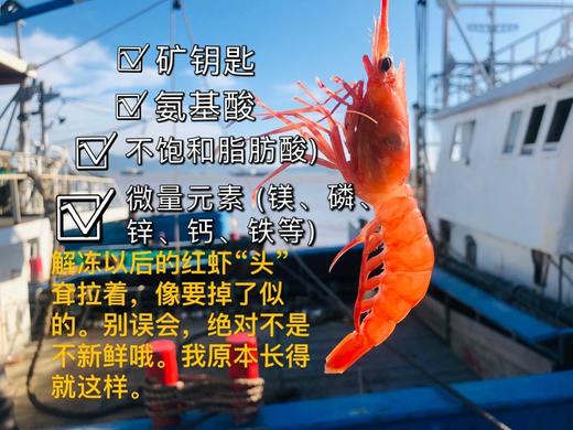 🦐舟山 · 野生 · 深海竹节虾 /滑皮虾/毛竹节红虾  /新鲜捕捞  活虾船冻  🈚️添加更安心 商品图7