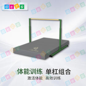 体能跑酷单杠组合