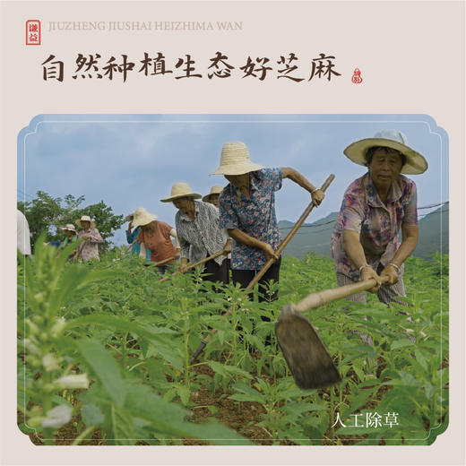 谦益红枣方（枣膏方）黑芝麻丸150g 九蒸九晒 红枣配方  高蛋白 以食为养 商品图2