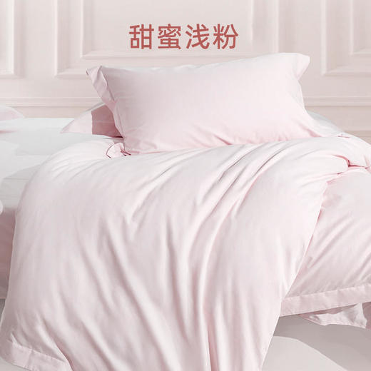 【代发】蓝铂定制成人四件套磨毛款/四季款100支全棉（此链接不可床单改床笠） 商品图2