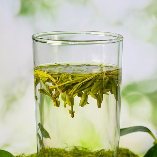 晓露鲜白茶10000＃ 商品图3