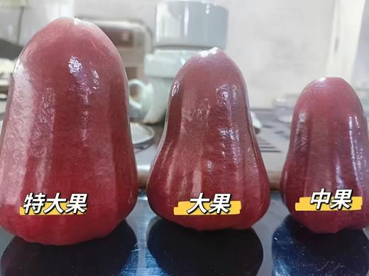 果岭菁礼 海南三亚有机黑金刚莲雾 清甜脆爽多汁新鲜应季仙女果水果 顺丰包邮 商品图5