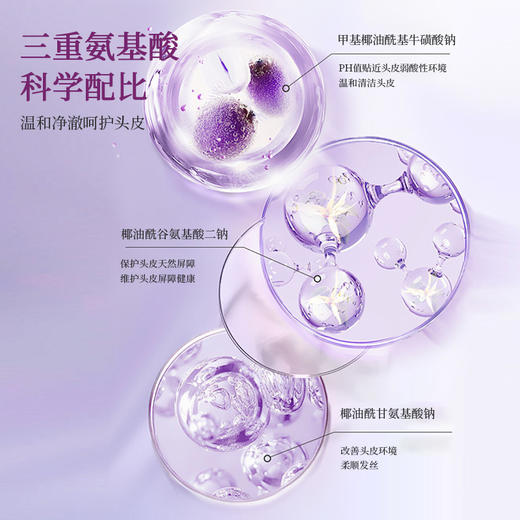 【头皮清爽不闹心】清大博士又又叒出手了！植物复合氨基酸洗发水 专研三层净润 洗发无烦恼 商品图1