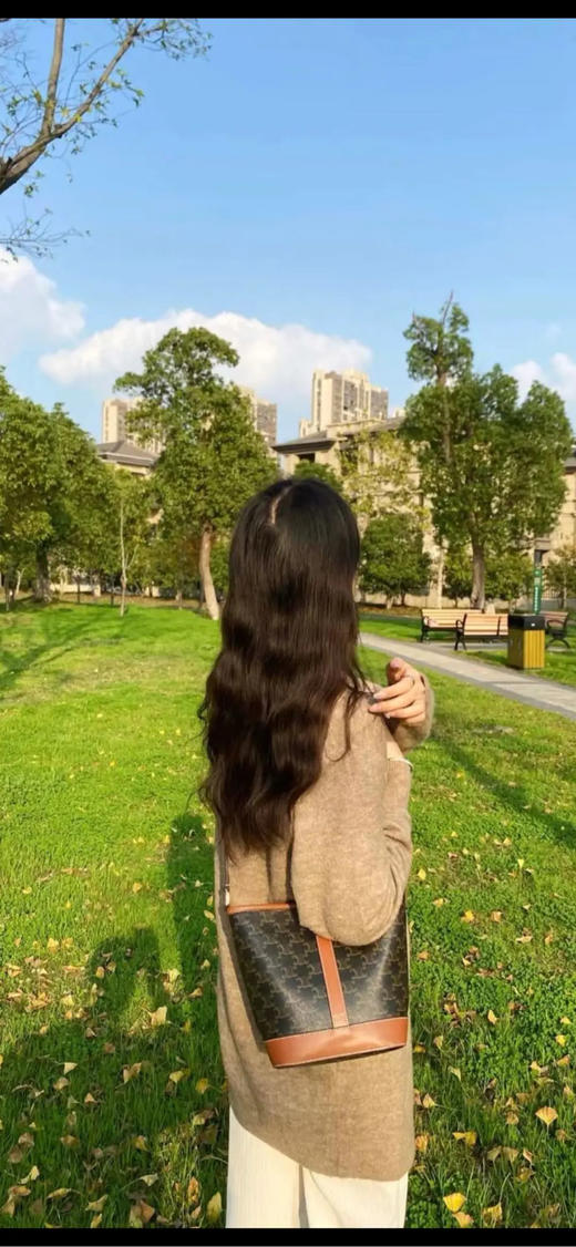 Celine 小号 老花 水桶 斜挎包 商品图2