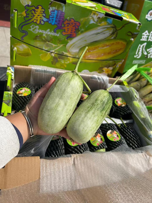【宏丰精选】蜜罐  蜜瓜 比羊角蜜好吃 特别嫩香甜 活动价12.8元一斤 商品图2