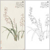 谢稚柳花鸟兰花工笔画白描底稿《徽州墨兰》临摹勾线高清打印稿XZ52 商品缩略图0