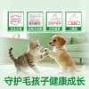 滴露（Dettol）宠物家庭消毒液1L灭杀真菌细菌 猫砂去味 宠物除臭除味剂消毒水 /家庭清洁/纸品 /家庭环境清洁 /消毒液 商品缩略图7