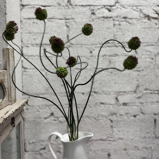 进口弯葱 商品图1