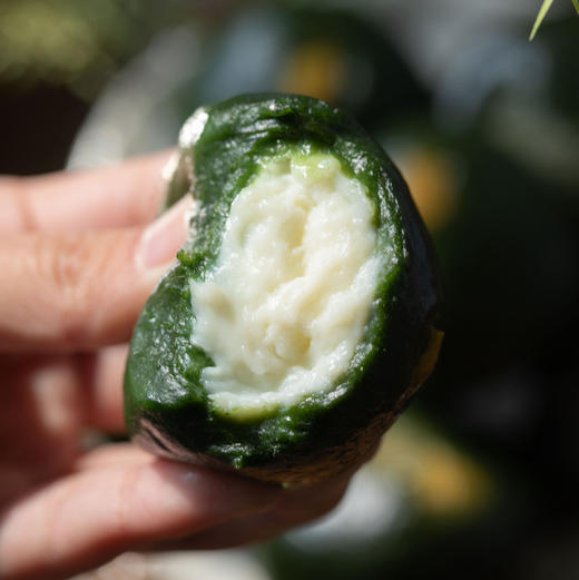 【下单后72小时发货】艾草嘟嘟 青团70g*6个/盒，口味有：柴火豆沙、纯纯芝麻、可可巧心、绵绵鲜奶、春笋六鲜、蛋黄肉松 商品图7