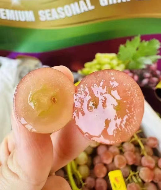 【进口】自带浓郁荔枝香  澳洲荔枝香玻璃提  小众品种 圆滚滚晶莹剔透 果粒坚实紧致 甜度高而不腻 一口咬下去，简直脆噗噗地爆汁，甜蜜入心。 商品图1