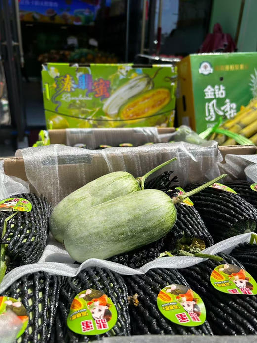 【宏丰精选】蜜罐  蜜瓜 比羊角蜜好吃 特别嫩香甜 活动价12.8元一斤 商品图1