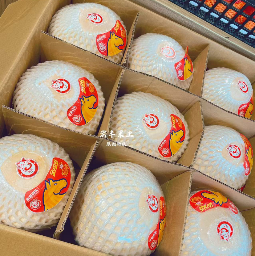 【宏丰精选】泰国椰青   泰国进口新鲜椰青 需要开口备注留言好  活动价9.9一个