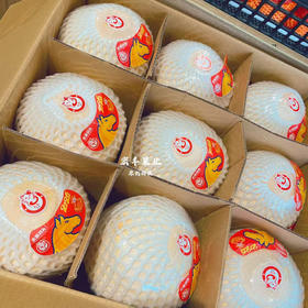 【宏丰精选】泰国椰青   泰国进口新鲜椰青 需要开口备注留言好  活动价9.9一个