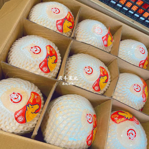 【宏丰精选】泰国椰青   泰国进口新鲜椰青 需要开口备注留言好  活动价9.9一个 商品图0