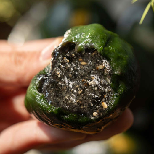 【下单后72小时发货】艾草嘟嘟 青团70g*6个/盒，口味有：柴火豆沙、纯纯芝麻、可可巧心、绵绵鲜奶、春笋六鲜、蛋黄肉松 商品图3