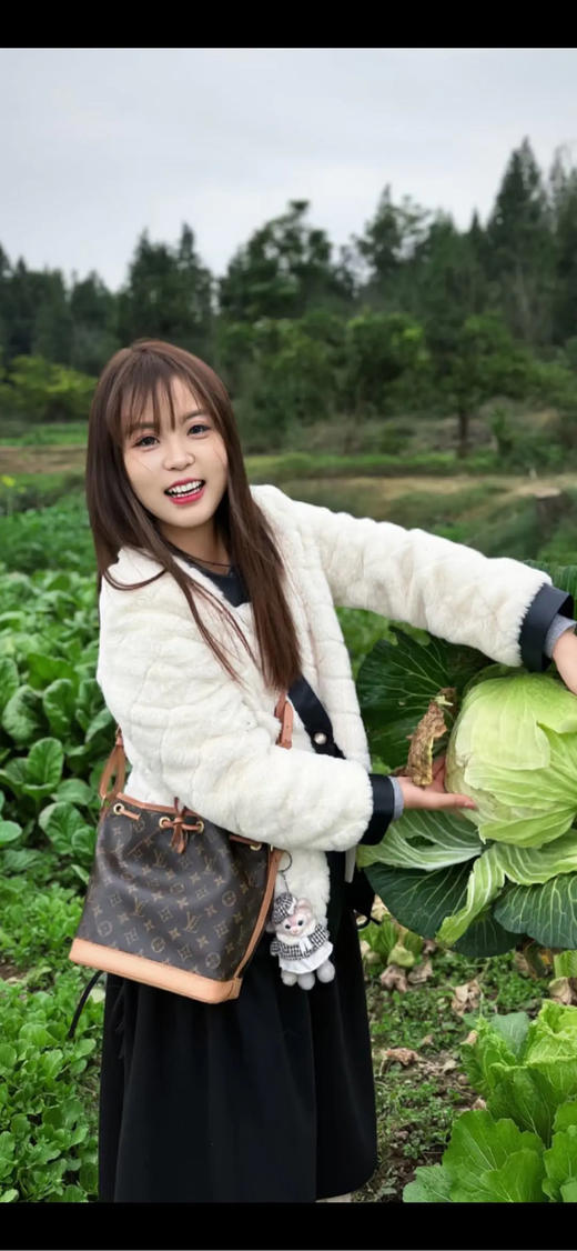 LV NOE bb 老花拼皮 抽绳 水桶包 商品图3