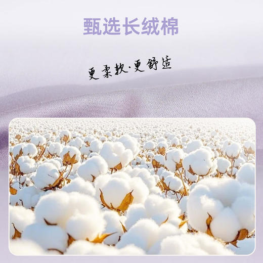 【代发】蓝铂定制成人四件套磨毛款/四季款100支全棉（此链接不可床单改床笠） 商品图6