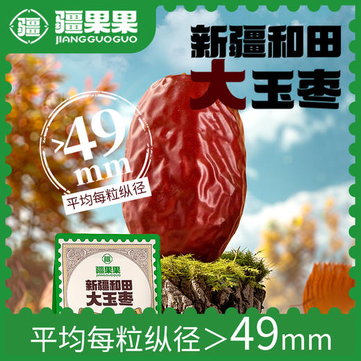 新疆和田大玉枣 316g/包 疆果果 大坚果 商品图0