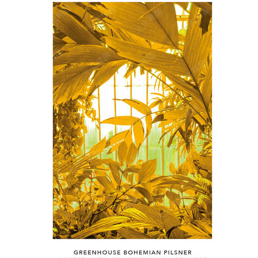 邪恶双子 温室—波西米亚风格皮尔森 473ml 商品图0