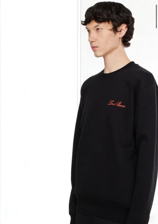 L/P 诺亚 春款 双面平纹圆领套头薄圆领卫衣 WY021 商品图1