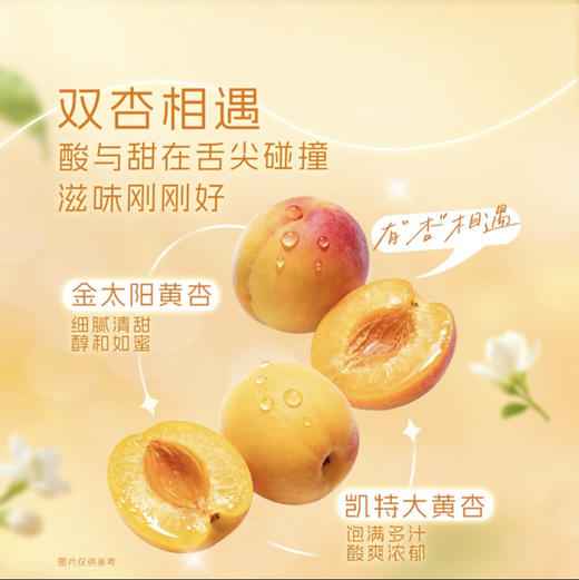 大甜杏茉莉绿茶 商品图1