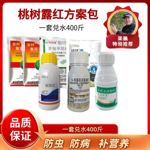桃树露红方案包 商品图0