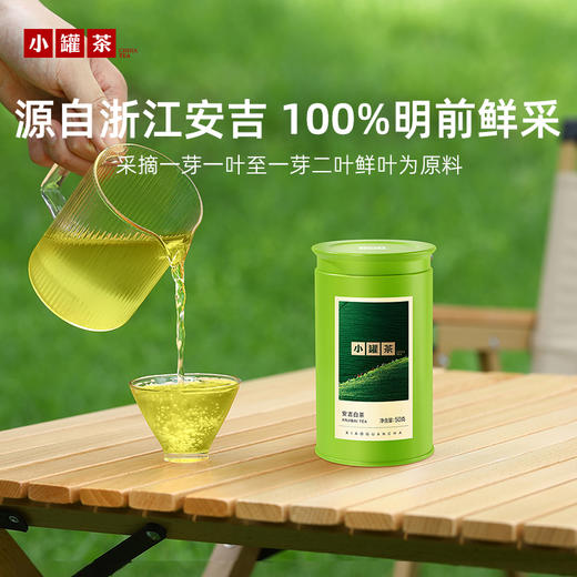 【2026春茶】小罐茶·金标系列·安吉白茶 50g 商品图1