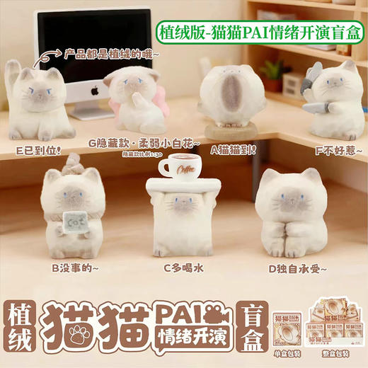 猫猫PAI情绪开演盲盒-纪念日百货门店同款169296871 商品图3