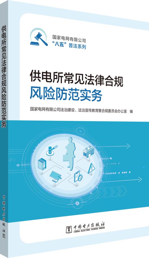 供电所常见法律合规风险防范实务 商品图0