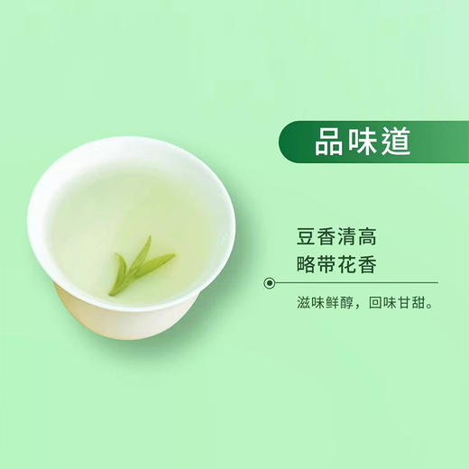 素言茶坊~高山流水头采龙井400克 商品图3